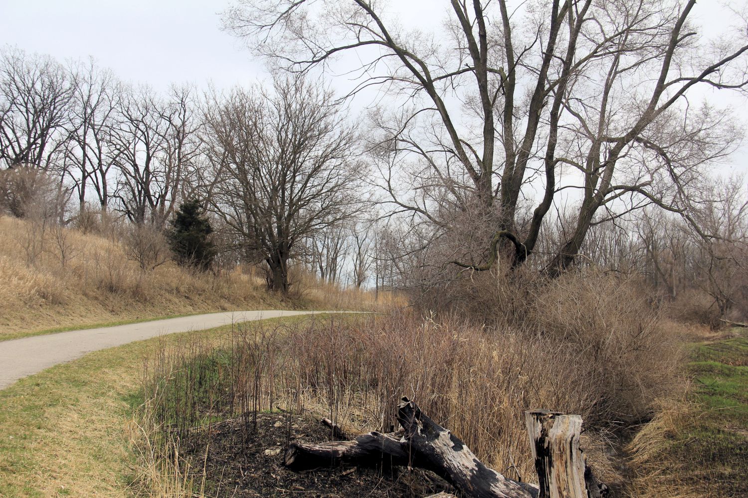 McHenry Dam State Park 